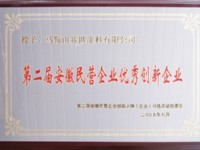 第二屆安徽民營企業(yè)優(yōu)秀創(chuàng)新企業(yè)